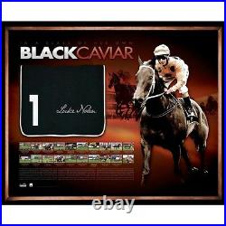 Black Caviar Signed And Framed Record Breaker Saddlecloth Luke Nolen Limited