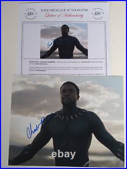 Signed Photo Chadwick Boseman Black Panther Autograph with COA