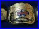 Wwf-World-Tag-Team-Wrestling-Championship-Belt-Heavyweight-Adult-Replica-Belt-01-nq